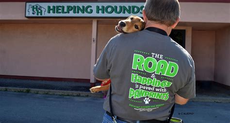Hhdr Helping Hounds Dog Rescue Best4pets