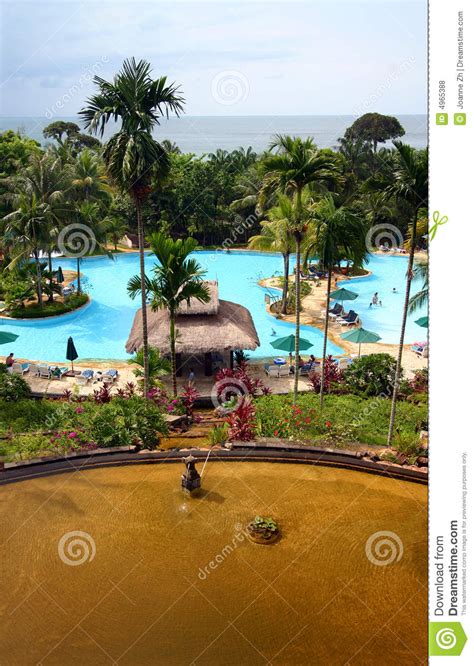 Tropical Island Resort Hotel Pool And Landscaping Royalty