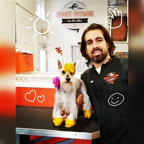 If you've answered yes, then it is time you visited bubbles pet grooming! Orange Grooming - Miami | Service - Pet Grooming