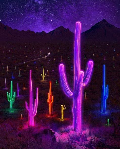 Neon Desert Arizona Cactus Hd Phone Wallpaper Peakpx
