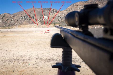 How To Sight In Your Rifle For The Perfect Long Range Shot