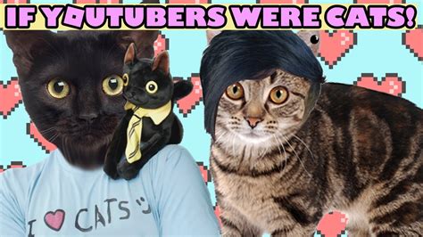Youtubers As Cats Youtube
