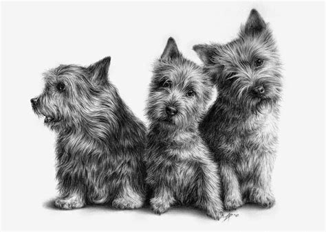 How to draw a puppy video step by step pictures. Design Stack: A Blog about Art, Design and Architecture ...