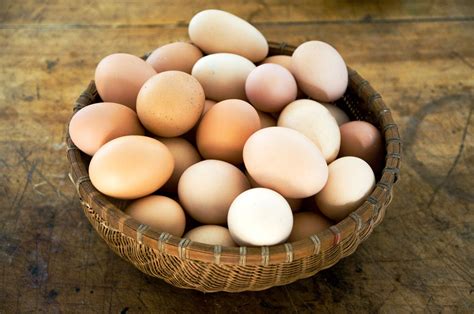 Pastured Eggs - Hephzibah FarmsHephzibah Farms
