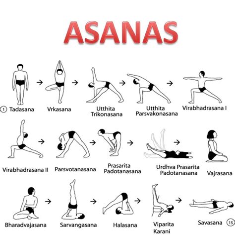 Printable Posters Of Asanas Yoga For Beginners Activity Hot Sex Picture