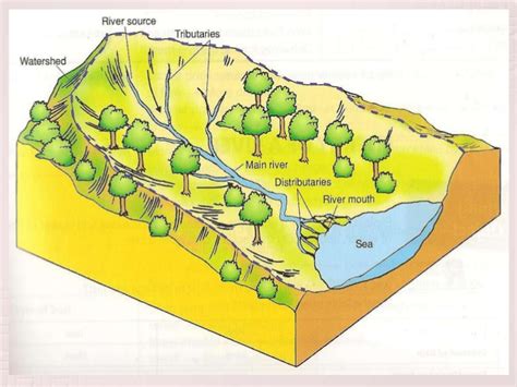 Drainage Basin Labelled Diagram