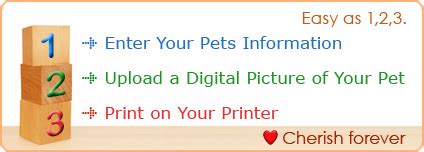 These pet adoption statistics and facts for 2021 will answer some questions you might have and enlighten you on things you might not have been aware of. Free Printable Pet Adoption Forms - Pet's Gallery