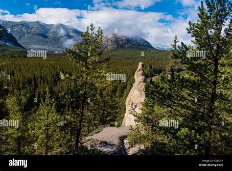 View Of The Bow River Valley Hoodoos Viewpoint Banff National Park