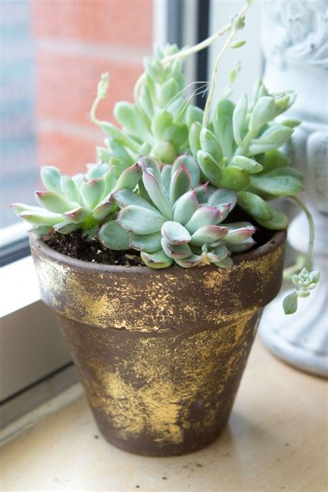 Gilded Gold Foil Terra Cotta Pot Diy Plant Pot Diy Terracotta Pots