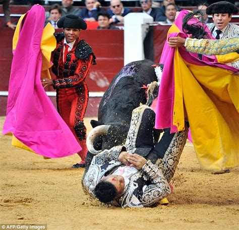 Matador Gored As Bullfighting Returns To Bogota Daily Mail Online