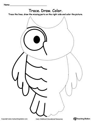 At esl kids world we offer high quality printable pdf worksheets for teaching young learners. Trace And Draw Missing Lines To Make An Owl | MyTeachingStation.com