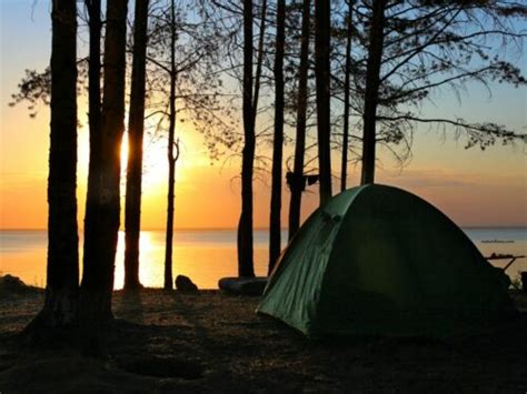 Best Camping Equipment Essentials You Need My Turn For Us