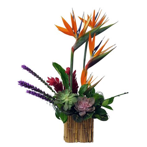 Maybe you would like to learn more about one of these? Safari at Lincoln Park Zoo :: Ashland Addison Florist Co.