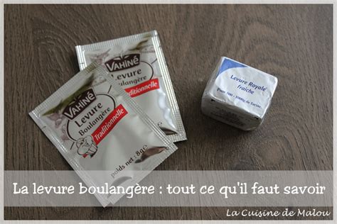 La levure boulangère sèche ou fraîche caractéristiques et conversion