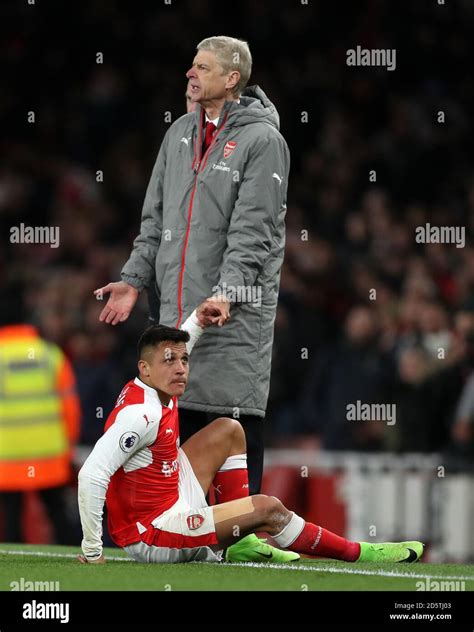 Arsenals Alexis Sanchez Right Holds His Face As Manager Arsene Wenger Helps Him Up Stock