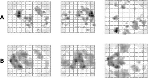 Table 1 From The Brain Reaction To Viewing Faces Of Opposite And Same Sex Romantic Partners