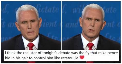 there s a real buzz about the fly that landed on mike pence during the debate the only 5