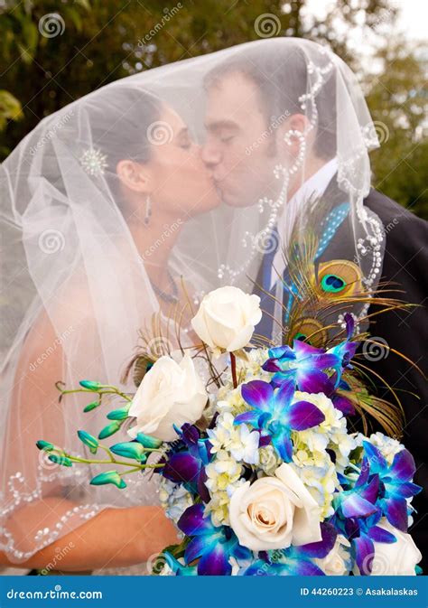Bride And Groom Kissing Under Veil Stock Image Image Of Sparkle