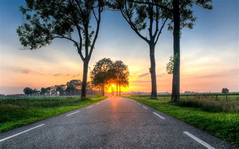 Wallpaper Road Trees Sunset Fields Countryside 1920x1200 Hd Picture
