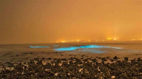 Get To Mumbai Now Bioluminescence Turns Juhu Beach Blue