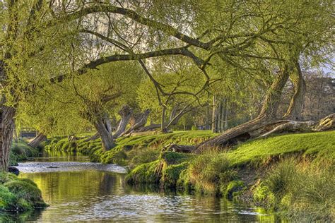 A Spring Evening In Richmond Park ©david Henderson All R Flickr
