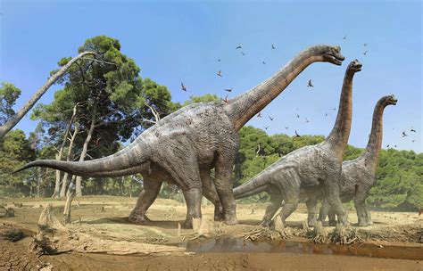 Dinosaurios Herbívoros Características Y Tipos