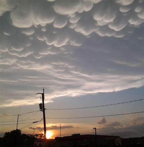 Mammatus (also called mamma or mammatocumulus, meaning mammary cloud) is a cellular pattern of pouches hanging underneath the base of a cloud, typically a cumulonimbus raincloud, although they may be attached to other classes of parent clouds. Nietypowe chmury zaobserwowano nad stanem Indiana ...