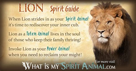 Lion Spirit Totem And Power Animal Symbolism And Meaning What Is My