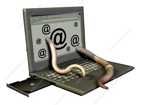 Malicious software like viruses, worms and trojans are serious. Computer worm - Stock Image - T465/0345 - Science Photo ...