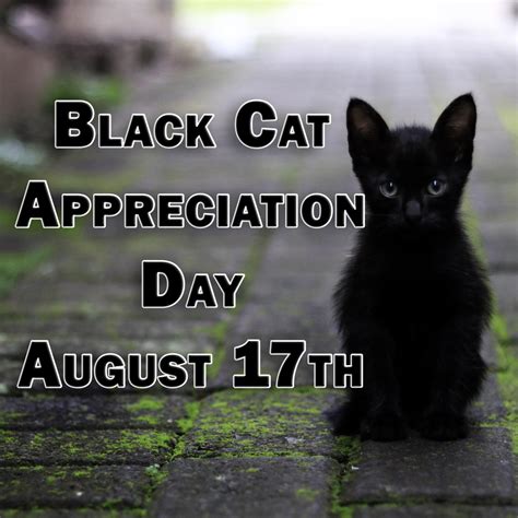 Black Cat Appreciation Day 2024 Berny Celesta