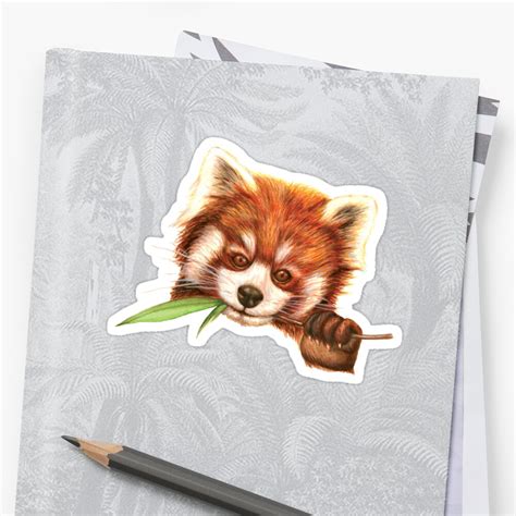 Red Panda Sticker By Suzalexand Redbubble