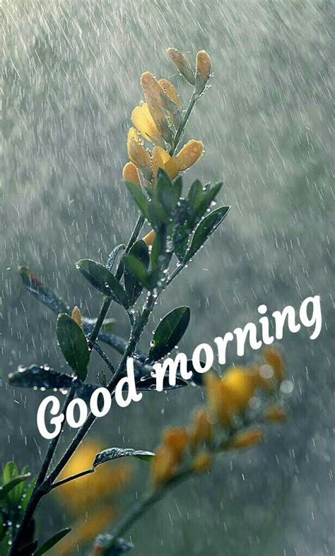 Pin By Bl Supporter On Good Morning Rainy Good Morning Good Morning