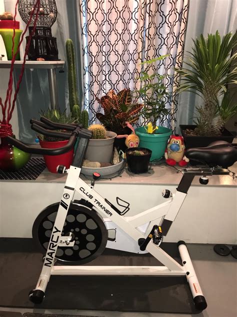 Best Spin Bike Reviews in 2020 | Spin bikes, Bike reviews, Spin bike for home