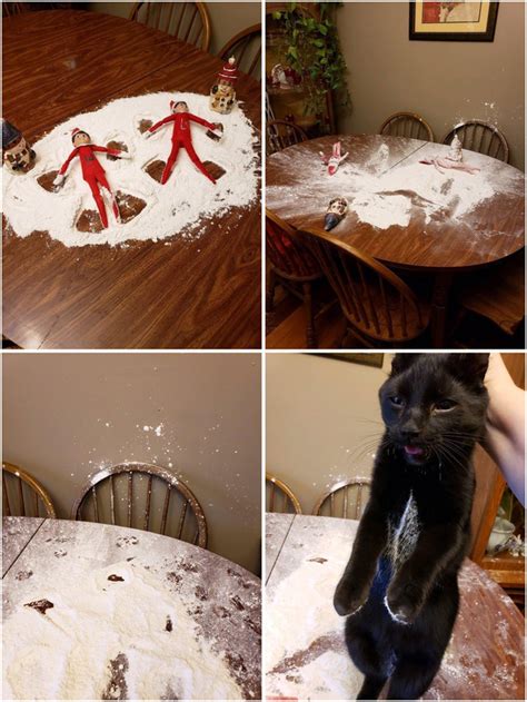 The Cat Also Wants To Make A Snow Angel Meme Guy