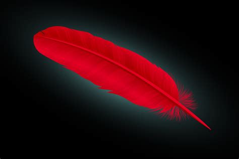Red Feather Meaning And Symbolism Color Meanings