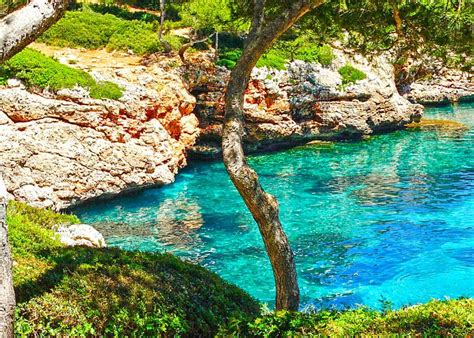 Palma De Mallorca Spain 2024 Best Places To Visit Tripadvisor