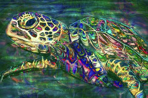 Tropical Sea Turtle 2 Painting By Jack Zulli