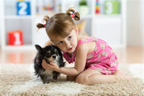 Learn about puppies with this video from kids learning videos! What to Do If Your Dog is Scared of Kids | Canna-Pet®