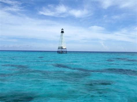 10 Meilleurs Sites De Plongée En Apnée Dans Les Florida Keys Accueil