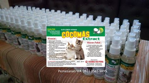 Hello #catlovers kalian taukan, air kelapa itu sangat bermanfaat loh. Obat Kutu Kucing Ciamis di Jawa Barat, 0821 3543 9895 ...