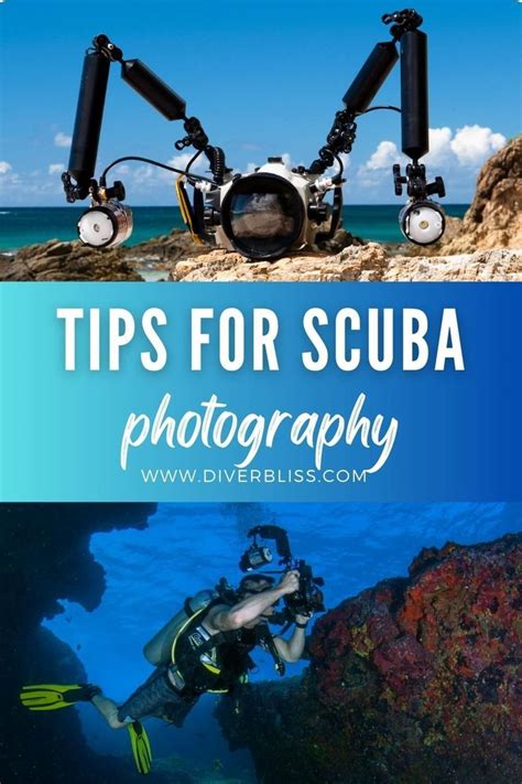 The Definitive Beginners Guide 85 Tips On Underwater Photography