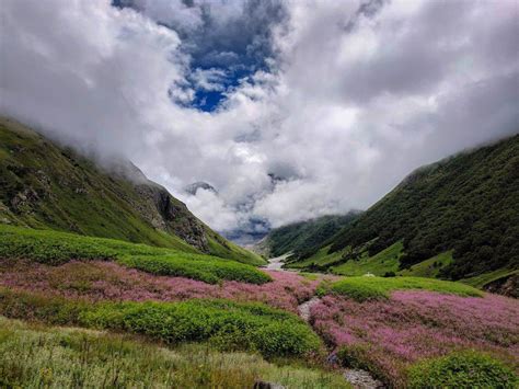 Valley Of Flowers And Hemkund Sahib Trek With Badrinath