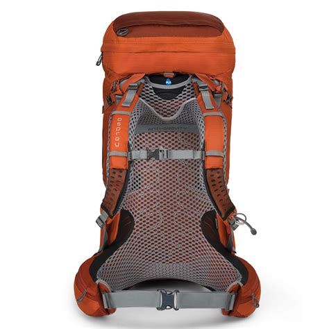 Osprey Mens Atmos 65 Ag Backpacks Amazonca Sports And Outdoors