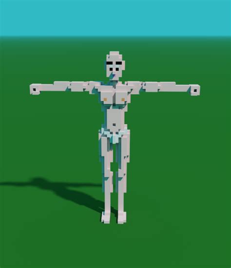 Voxel Human Body By Colombo0718