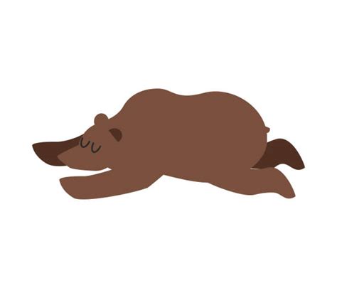 Royalty Free Hibernating Bear Clip Art Vector Images