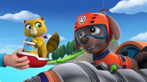 Watch Paw Patrol Season 1 Episode 5 Pups And The Kitty Tastrophe