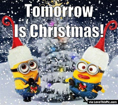Nov 5, 2017 7:09:29 pm. Tomorrow Is Christmas Animated Minion Quote Pictures ...