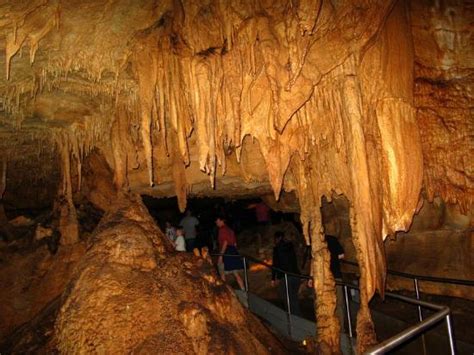 Stalactites And Stalagmites Picture Of Mammoth Cave