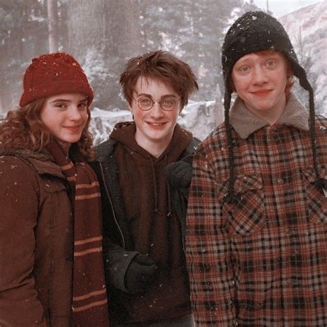 Gryffindor Gang Harry Potter Hermione Granger Rom Weasley Harry