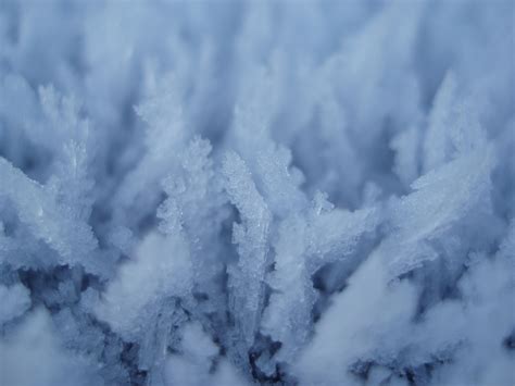 Ice Crystals Narrow Depth Free Backgrounds And Textures